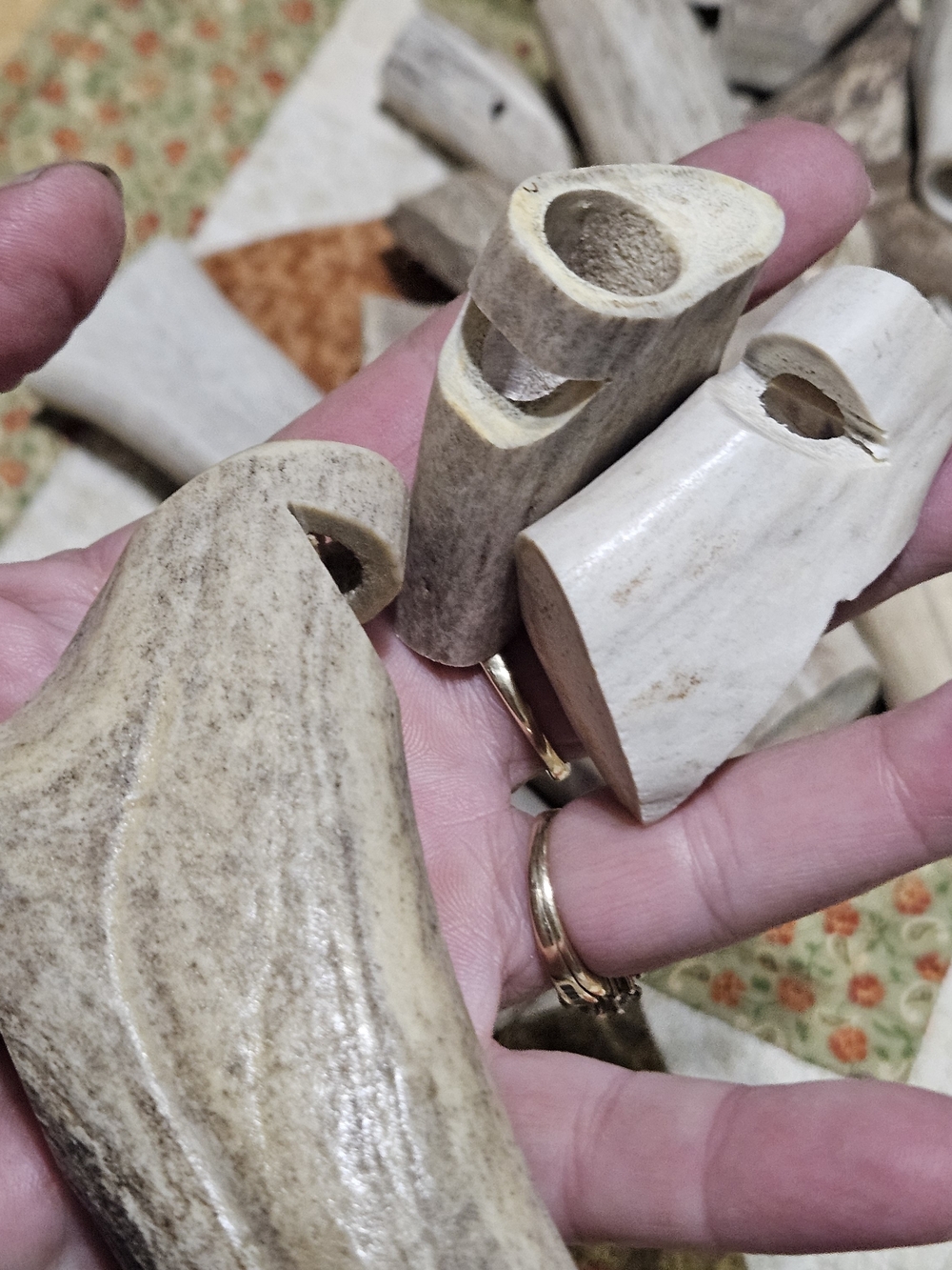 Natural Deer Antler Whistles?Accents? Cut And Drilled – Neutral Gray/Brown - Picture 10 of 16